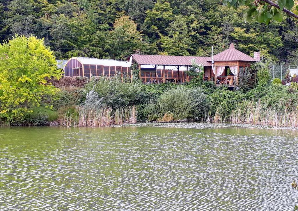 Rancho 555 Guest House Ужгород Екстериор снимка
